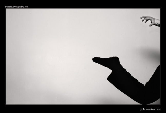 DP Blog
